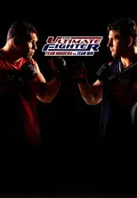 Team Nogueira vs. Team Mir