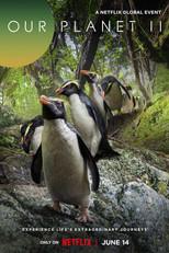 Our Planet II