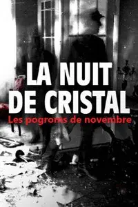 La Nuit de cristal : Les pogroms de novembre
