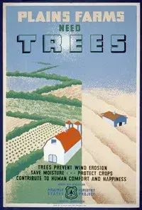 Windbreaks on the Prairies