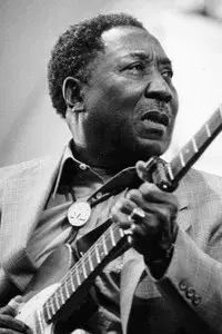 Muddy Waters