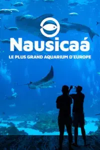 Nausicaa: The Largest Aquarium in Europe