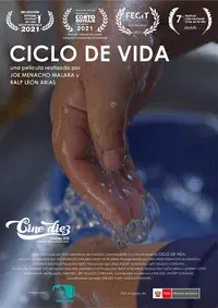 Ciclo de Vida