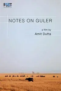 Notes on Guler