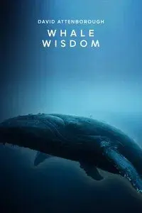 Whale Wisdom