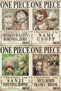 One Piece Characters Log