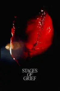 Stadier af sorg