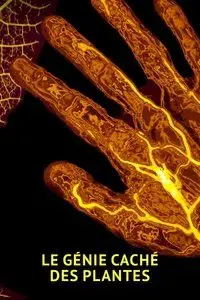 The amazing abilities of plants