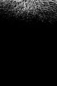 For When I Think, There is This Heaviness That I Would Rather You Not Carry