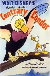 Contrary Condor