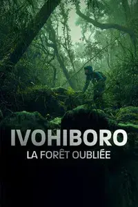 Ivohiboro, la forêt oubliée