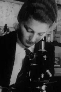 Comprehensive School