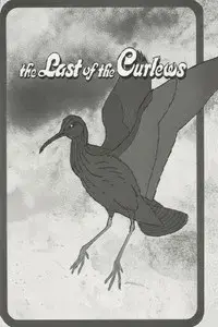 The Last of the Curlews