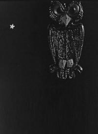 The Spider and the Fly