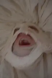 Le Roman de Remort, ou les fabliaux inhumains & vilains de l'Ultime Carnaval