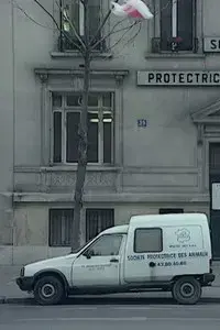 Nous sommes tous des cafards