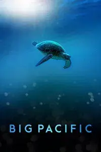 Big Pacific