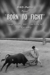 Born to Fight