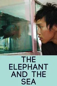 The Elephant and the Sea