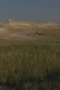 CIVIL WAR SURVEILLANCE POEMS (Part 1)