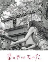 The Stars and the Moon are Holes in the Sky