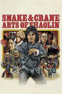 Snake & Crane Arts of Shaolin