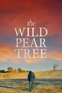 The Wild Pear Tree
