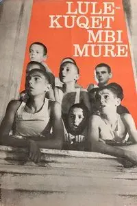 Red Poppies on the Wall