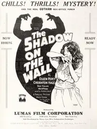 The Shadow on the Wall