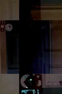 What Was It Supposed to Be Like?