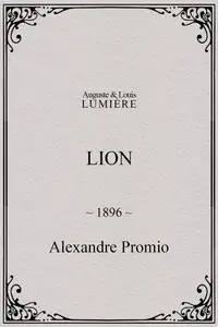 Lion, London Zoological Gardens