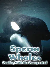 Sperm Whales: Dealing with the Unexpected
