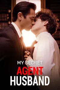 My Secret Agent Husband