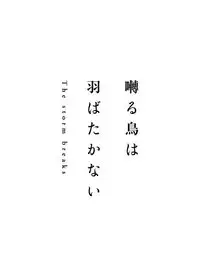 Twittering Birds Never Fly: The Storm Breaks