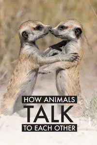How Animals Talk To Each Other