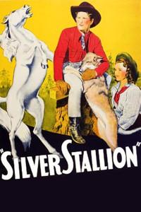 Silver Stallion