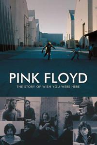 Pink Floyd: The Story of Wish You Were Here