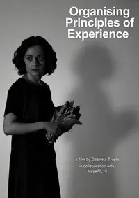 Organising Principles of Experience