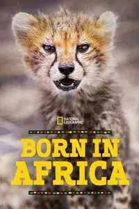 Born in Africa