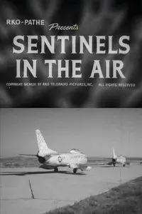 Sentinels in the Air