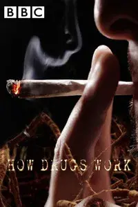 How Drugs Work
