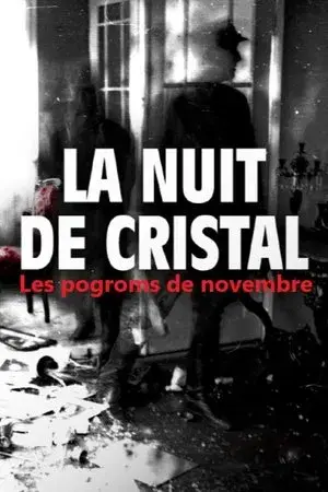 La Nuit de cristal : Les pogroms de novembre