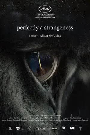 Perfectly a Strangeness