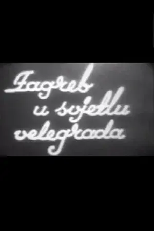 Zagreb in a Metropolitan Light