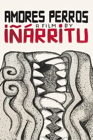 Amores Perros