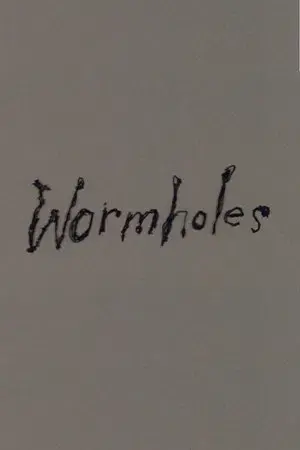 Wormholes