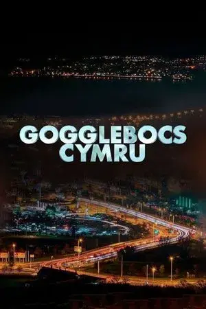 Gogglebox Wales