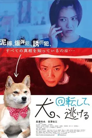 Dog Turns and Runs Away