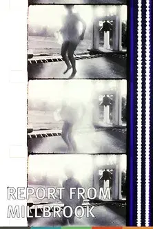 Report from Millbrook