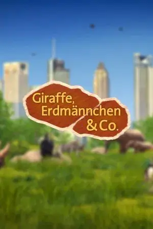 Giraffe, Erdmännchen & Co.